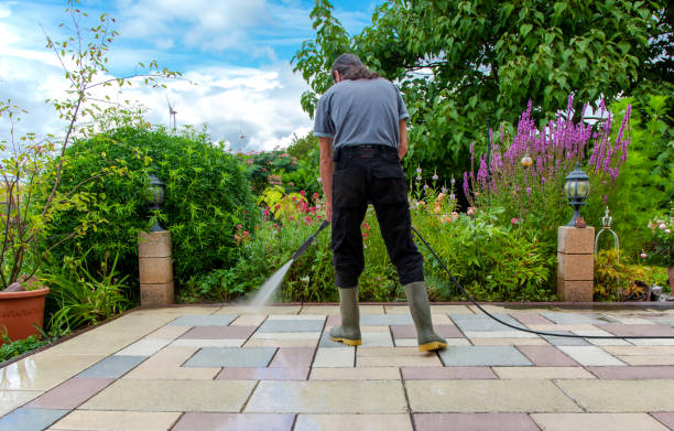 Best Spring Cleaning  in Severna Park, MD